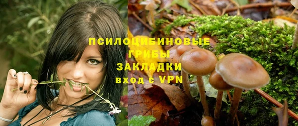 твердый Нягань