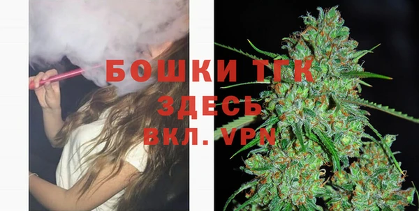 твердый Нягань