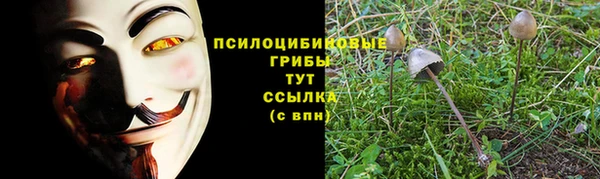 герыч Няндома