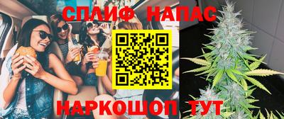 дурь Берёзовский