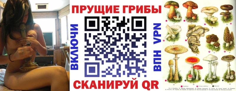 Галлюциногенные грибы прущие грибы Курчатов