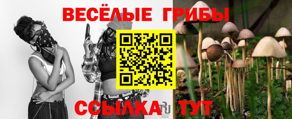 Галлюциногенные грибы Magic Shrooms  Псилоцибиновые грибы GOLDEN TEACHER  Вход с VPN  Курчатов 