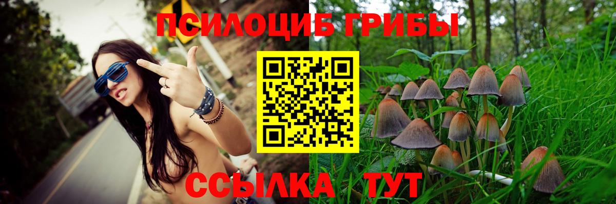 Галлюциногенные грибы мицелий  Курчатов  Псилоцибиновые грибы мицелий 